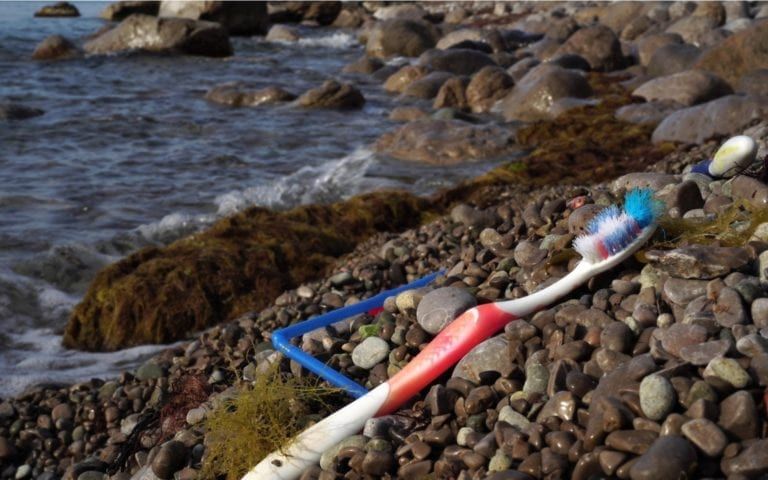 Toothbrush washed up on the beach